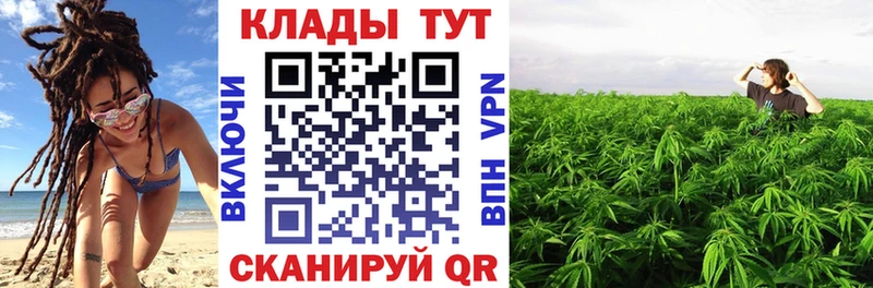 МЕТАДОН Суворов