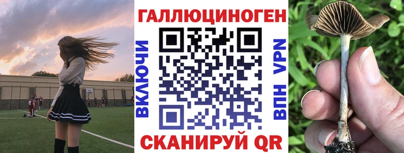Псилоцибиновые грибы Cubensis  Суворов 